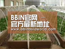 环境展示五