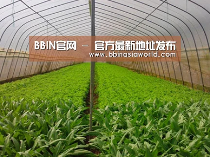 种植基地四