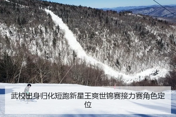 武校出身归化短跑新星王爽世锦赛接力赛角色定位