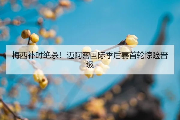 mei-xi-bu-shi-jue-sha-mai-a-mi-guo-ji-ji-hou-sai-shou-lun-jing-xian-jin-ji-2-732.jpg