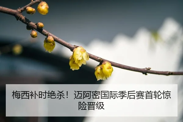 mei-xi-bu-shi-jue-sha-mai-a-mi-guo-ji-ji-hou-sai-shou-lun-jing-xian-jin-ji-3-496.jpg