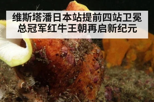 维斯塔潘日本站提前四站卫冕总冠军红牛王朝再启新纪元